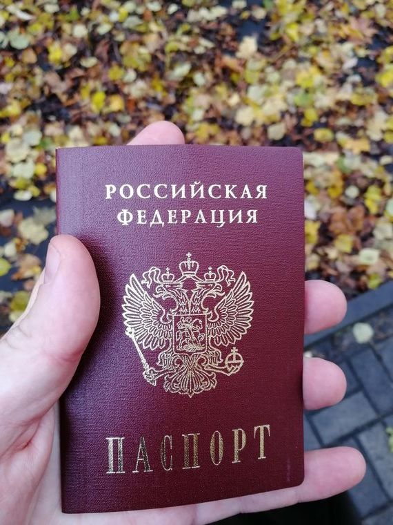 прописка в Зеленогорске